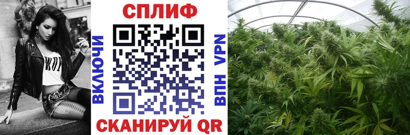 что такое наркотик  Обоянь  Конопля SATIVA & INDICA 